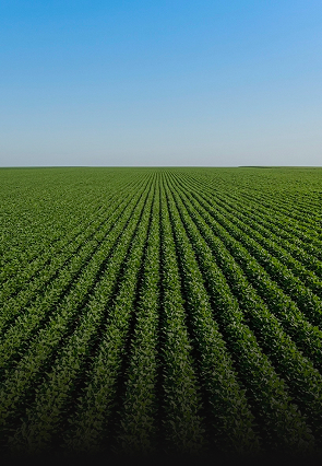 slide img agricultura mirante engenharia